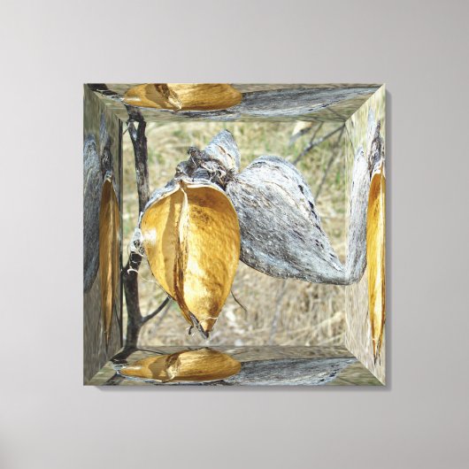 Milkweed Pods - spiegeldoos Canvas Afdruk (Voorkant)