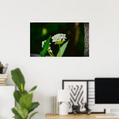 Milkweed, Poster (Thuiskantoor)