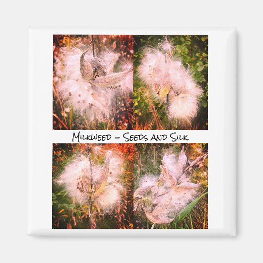 Milkweed | Sangria Magneet (Voorkant)