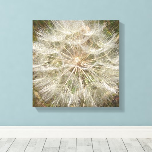 Milkweed Seed Pod Macro Canvas Afdruk (Insitu (Houten vloer))