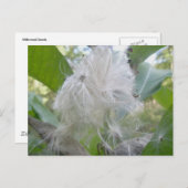 Milkweed Seeds Briefkaart (Voorkant / Achterkant)