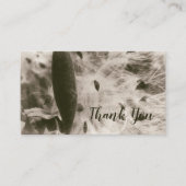 Milkweed Seeds Sepia Abstract Bloemkool Pod  Visitekaartje (Voorkant)