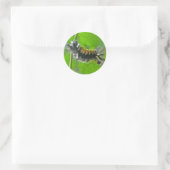 Milkweed Tussock Moth Caterstyle Items Ronde Sticker (Tas)