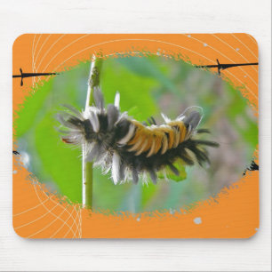 Milkweed Tussock Moth Caterstyle Oranje Items Muismat