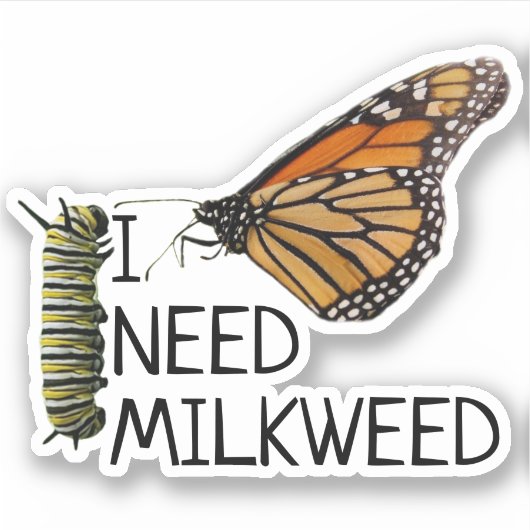 Milkweed voor monarchvlinders sticker (Voorkant)