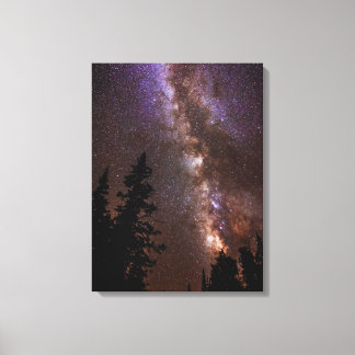 Milky Way | Cedar Breaks National Monument Utah Canvas Afdruk