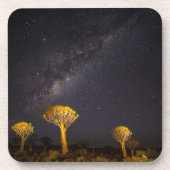 Milky Way Quiver Tree | Keetmanshoop Namibia Bier Onderzetter (Voorkant)