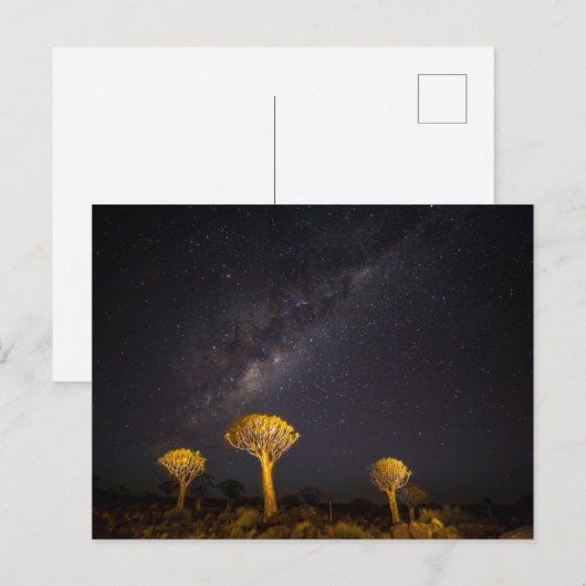 Milky Way Quiver Tree | Keetmanshoop Namibia Briefkaart (Voorkant / Achterkant)