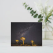 Milky Way Quiver Tree | Keetmanshoop Namibia Briefkaart (Staand voorkant)