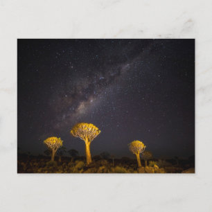 Milky Way Quiver Tree Keetmanshoop Namibia Briefkaart