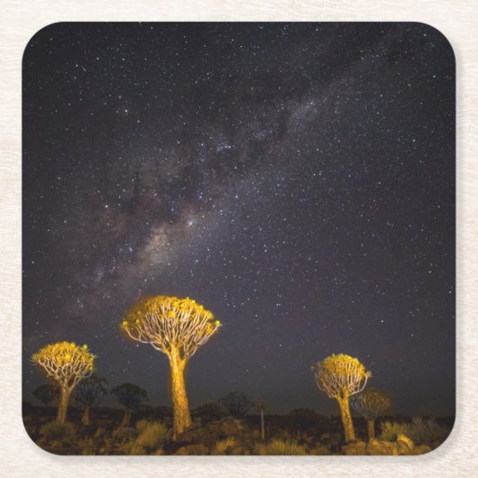 Milky Way Quiver Tree | Keetmanshoop Namibia Kartonnen Onderzetters (Voorkant)