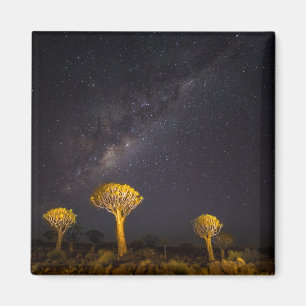 Milky Way Quiver Tree   Keetmanshoop Namibia Magneet