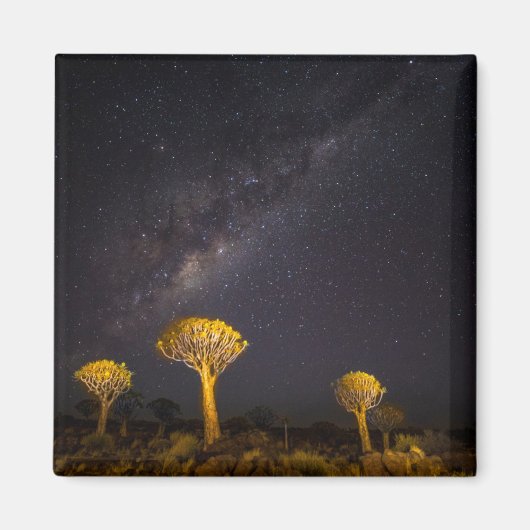 Milky Way Quiver Tree | Keetmanshoop Namibia Magneet (Voorkant)