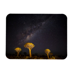 Milky Way Quiver Tree   Keetmanshoop Namibia Magneet
