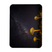Milky Way Quiver Tree | Keetmanshoop Namibia Magneet (Verticaal)