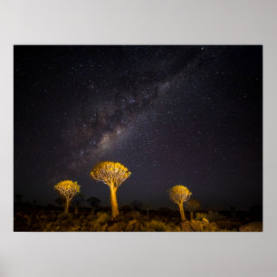 Milky Way Quiver Tree Keetmanshoop Namibia Poster