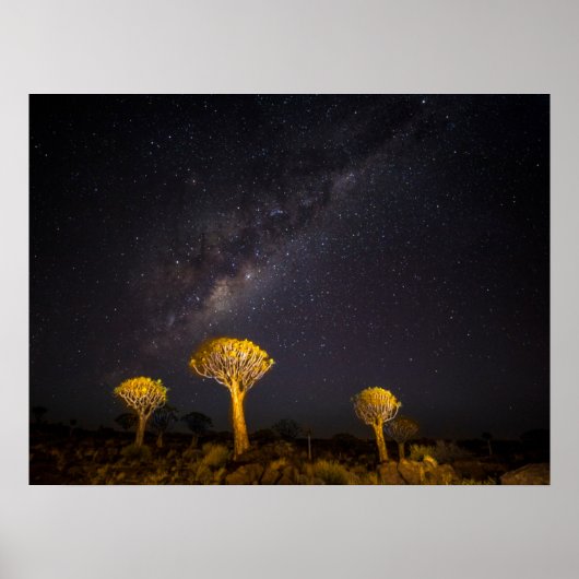 Milky Way Quiver Tree | Keetmanshoop Namibia Poster (Voorkant)