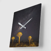 Milky Way Quiver Tree | Keetmanshoop Namibië Vierkante Klok (Hoek)