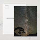 Milky Way with Tree | Ouray Colorado Briefkaart (Voorkant / Achterkant)