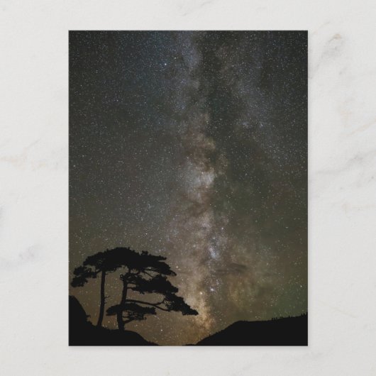 Milky Way with Tree | Ouray Colorado Briefkaart (Voorkant)