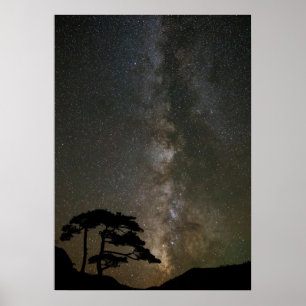 Milky Way with Tree   Ouray Colorado Poster