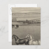 Mill Brae Ranch, Kansas Briefkaart (Voorkant / Achterkant)