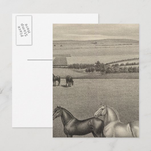 Mill Brae Ranch, Kansas Briefkaart (Voorkant / Achterkant)