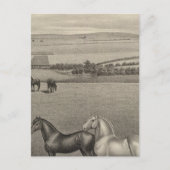 Mill Brae Ranch, Kansas Briefkaart (Voorkant)