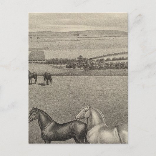 Mill Brae Ranch, Kansas Briefkaart (Voorkant)