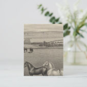 Mill Brae Ranch, Kansas Briefkaart (Staand voorkant)