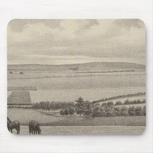 Mill Brae Ranch, Kansas Muismat (Voorkant)
