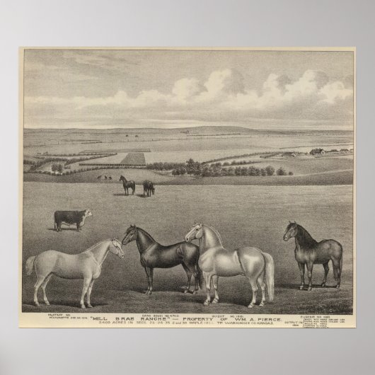 Mill Brae Ranch, Kansas Poster (Voorkant)