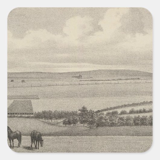 Mill Brae Ranch, Kansas Vierkante Sticker (Voorkant)