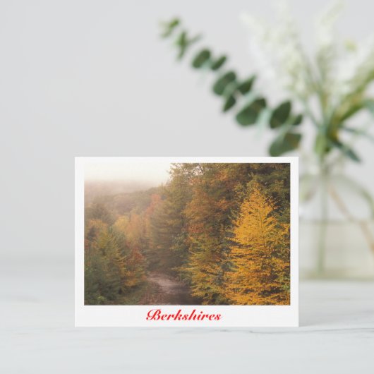 Mill Brook Autumn, Berkshires Stream Briefkaart (Staand voorkant)