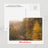 Mill Brook Autumn, Berkshires Stream Briefkaart (Voorkant / Achterkant)