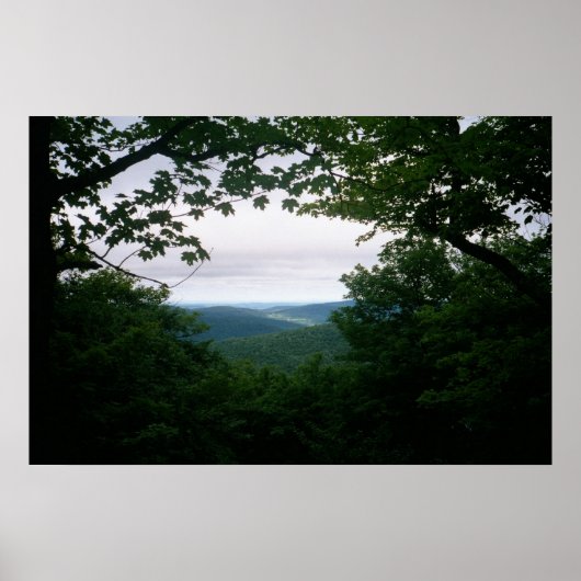 Mill Brook Ridge Vista Poster (Voorkant)