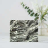 Mill Creek Herfsten, upclose, Cleveland, Ohio Briefkaart (Staand voorkant)