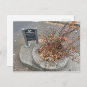 Mill Ends Park Briefkaart (Voorkant / Achterkant)