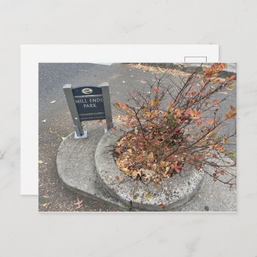 Mill Ends Park Briefkaart (Voorkant / Achterkant)