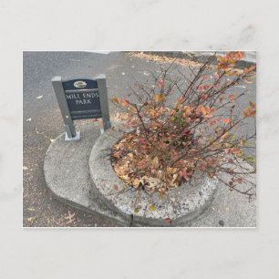 Mill Ends Park Briefkaart