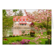 Mill in de lente met vijver