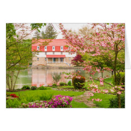 Mill in de lente met vijver