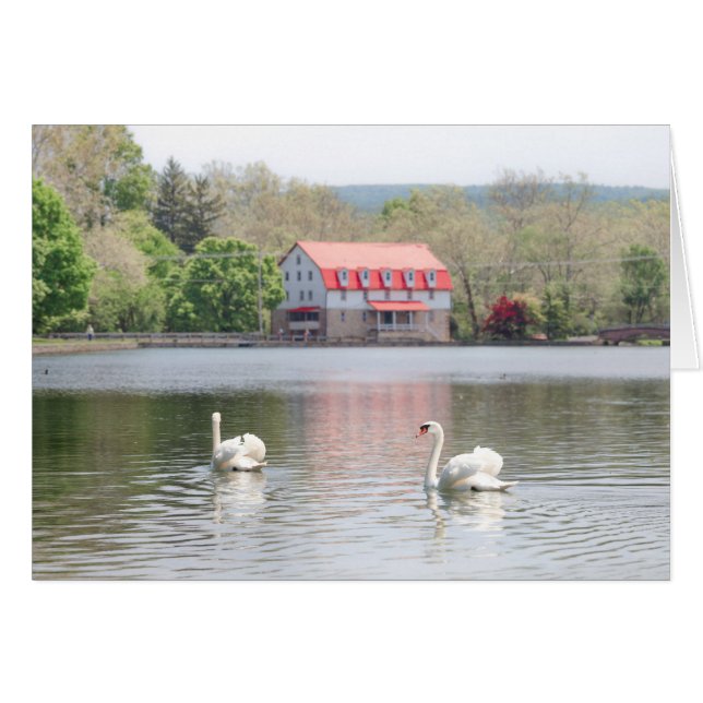 Mill in zomer met 2 zwanen in vijver (Voorkant Horizontaal)
