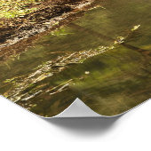 Millaa Millaa Herfsten, Atherton Tableland Poster (Hoek)