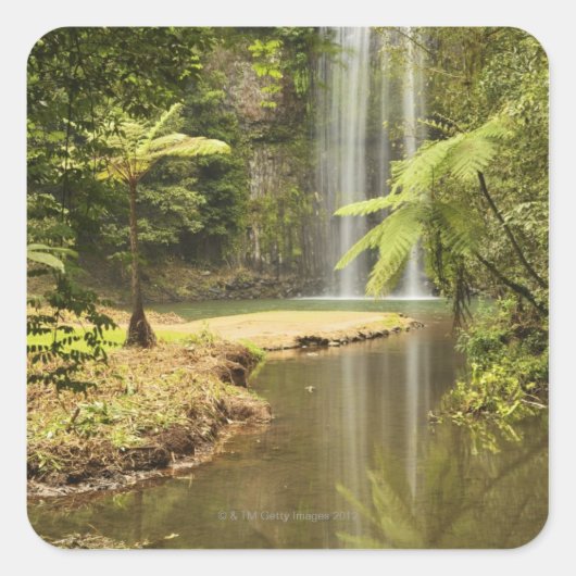 Millaa Millaa Herfsten, Atherton Tableland Vierkante Sticker (Voorkant)