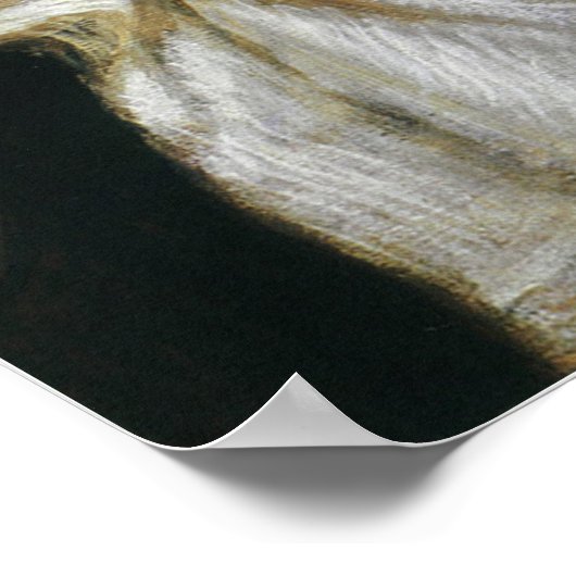 Millais - Beter 1876 Poster (Hoek)