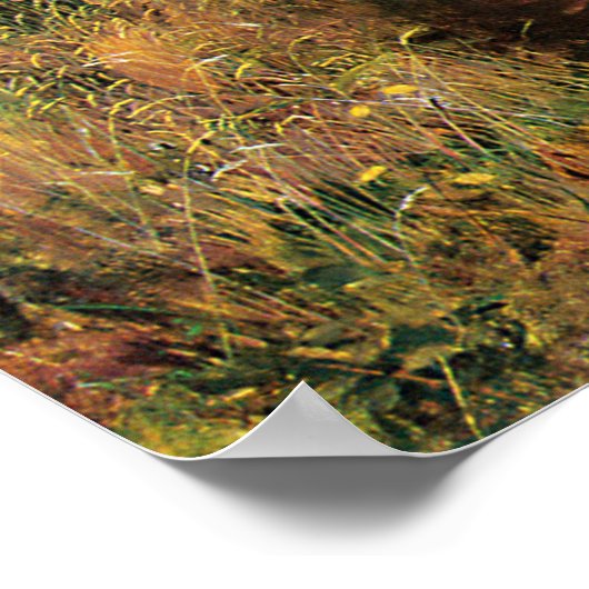 Millais - De dochter van de Farmer Poster (Hoek)