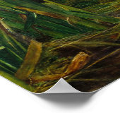 Millais Ophelia CC0008 Poster (Hoek)