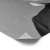 Millard Fillmore 13 Poster (Hoek)