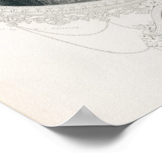 Millard Fillmore Poster (Hoek)